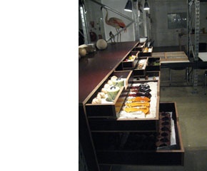 kast02