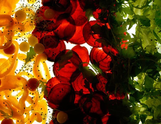 licht2_520