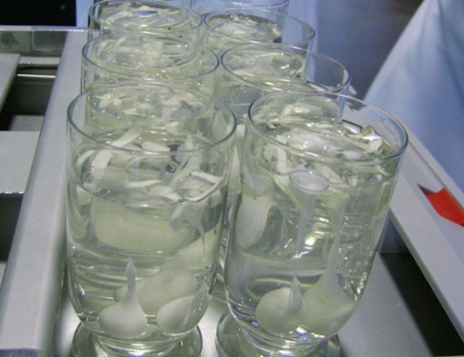 witdiner3_520