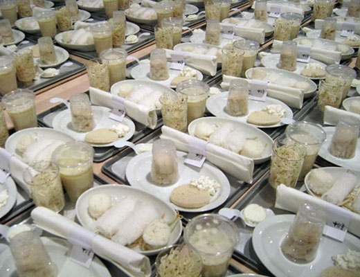 witdiner_520